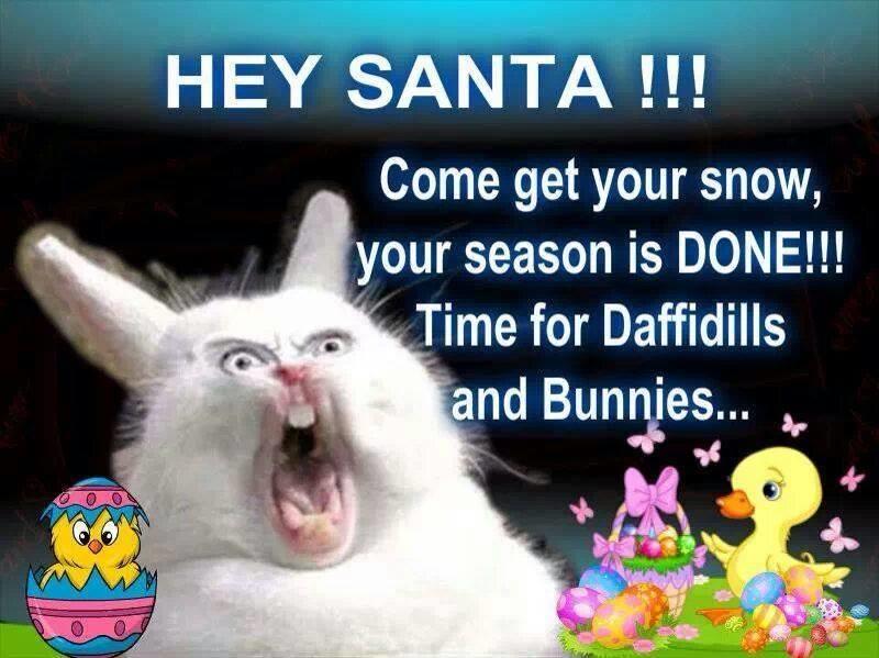 Messages - 15575306255585608665471081124000n.jpg